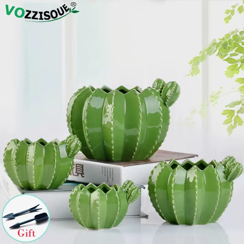 Pots de bonsaï Cactus en céramique créatifs