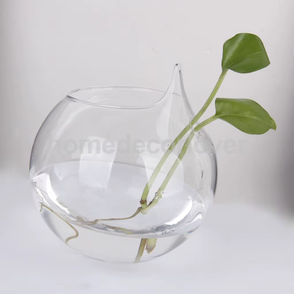 Vase en verre transparent pour plantes à fleurs