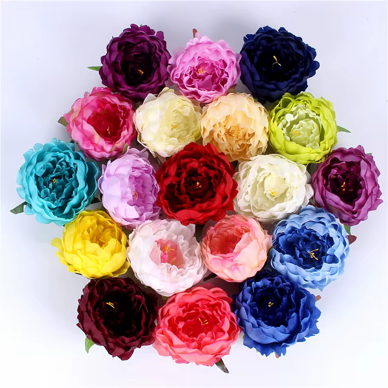 Grandes têtes de fleurs de pivoine