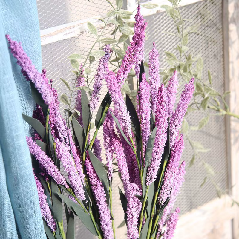 Fleurs de lavande en mousse