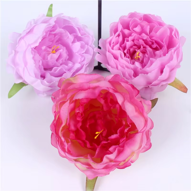 Grandes têtes de fleurs de pivoine