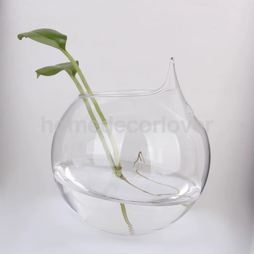 Vase en verre transparent pour plantes à fleurs