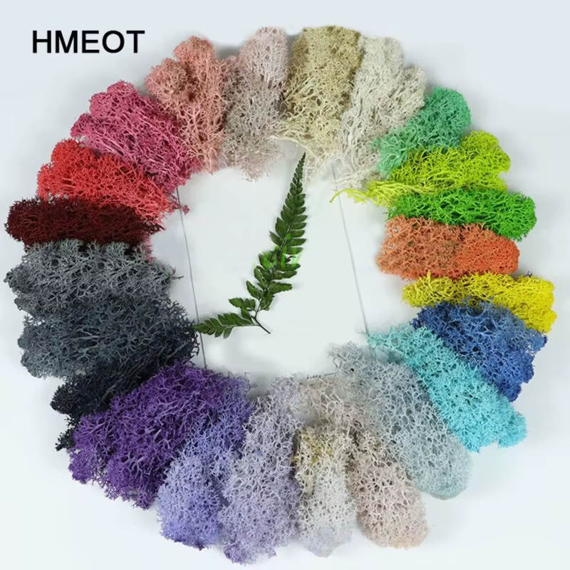 Simulation de plantes, vie éternelle