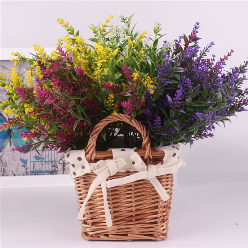 Plante verte lavande, bouquet d'herbe d'eau