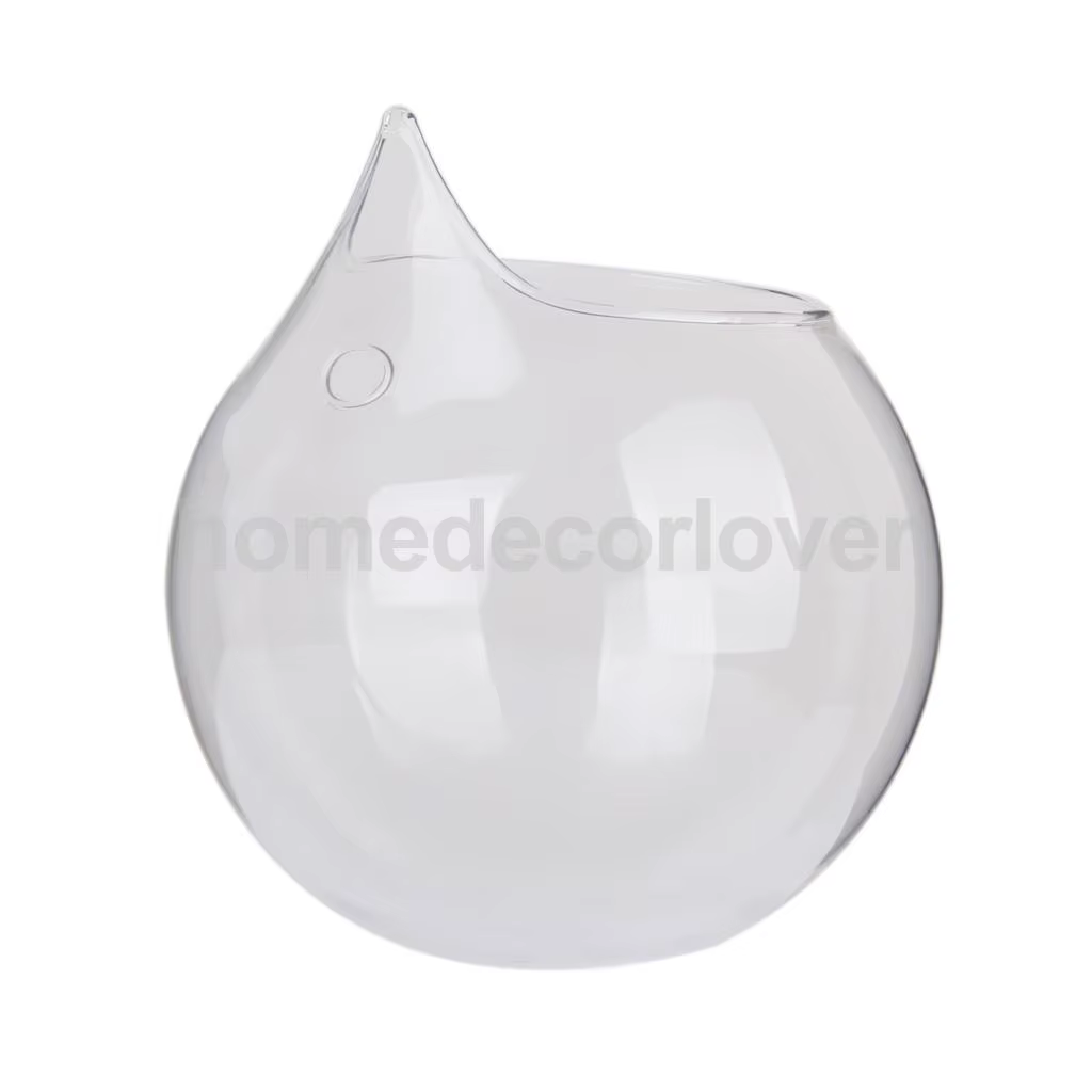 Vase en verre transparent pour plantes à fleurs