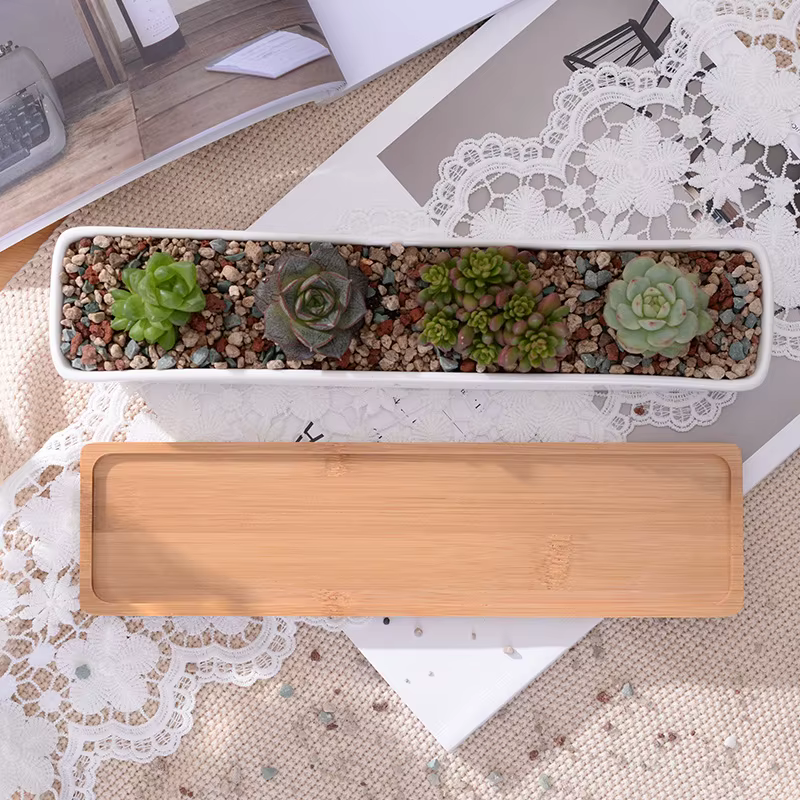 Pot de jardinière succulente en céramique blanche rectangulaire longue avec plateau en bambou
