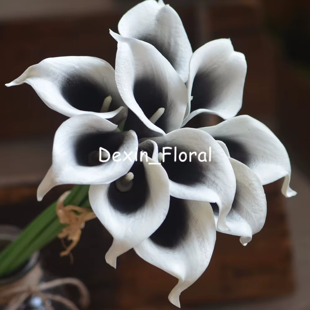 Fleurs artificielles DEXINFL Black Picasso