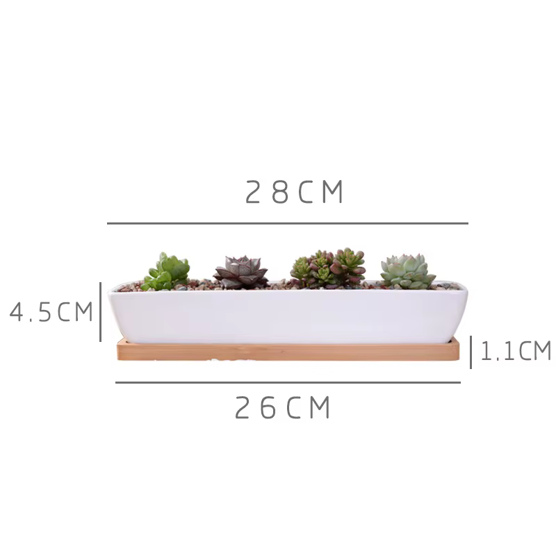 Pot de jardinière succulente en céramique blanche rectangulaire longue avec plateau en bambou