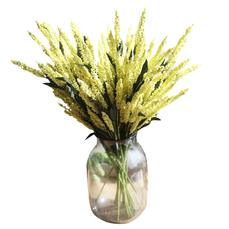 Fleurs de lavande en mousse