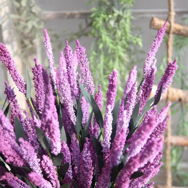 Fleurs de lavande en mousse