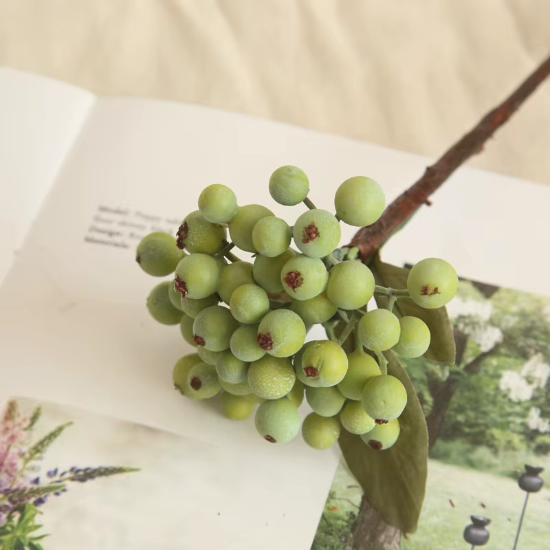 Branche de haricot vert pour décoration de maison