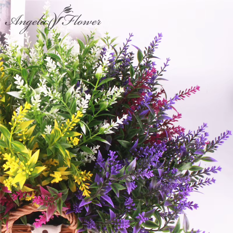 Plante verte lavande, bouquet d'herbe d'eau