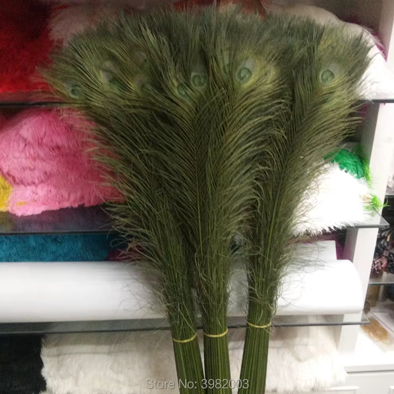 Nouveau! Plumes de paon naturelles pour vase à fleurs décoré