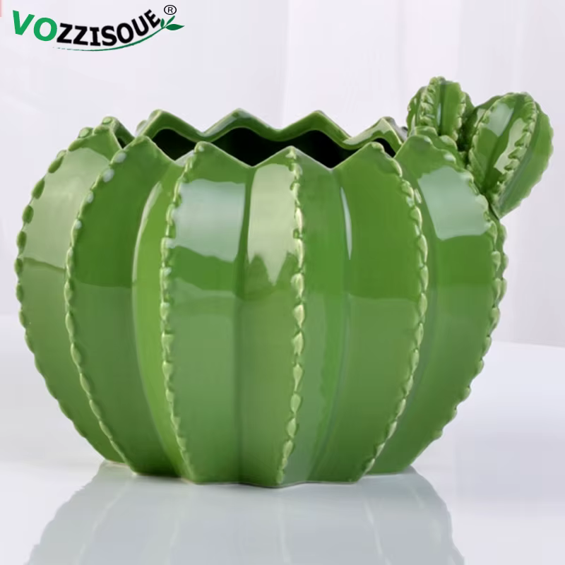 Pots de bonsaï Cactus en céramique créatifs