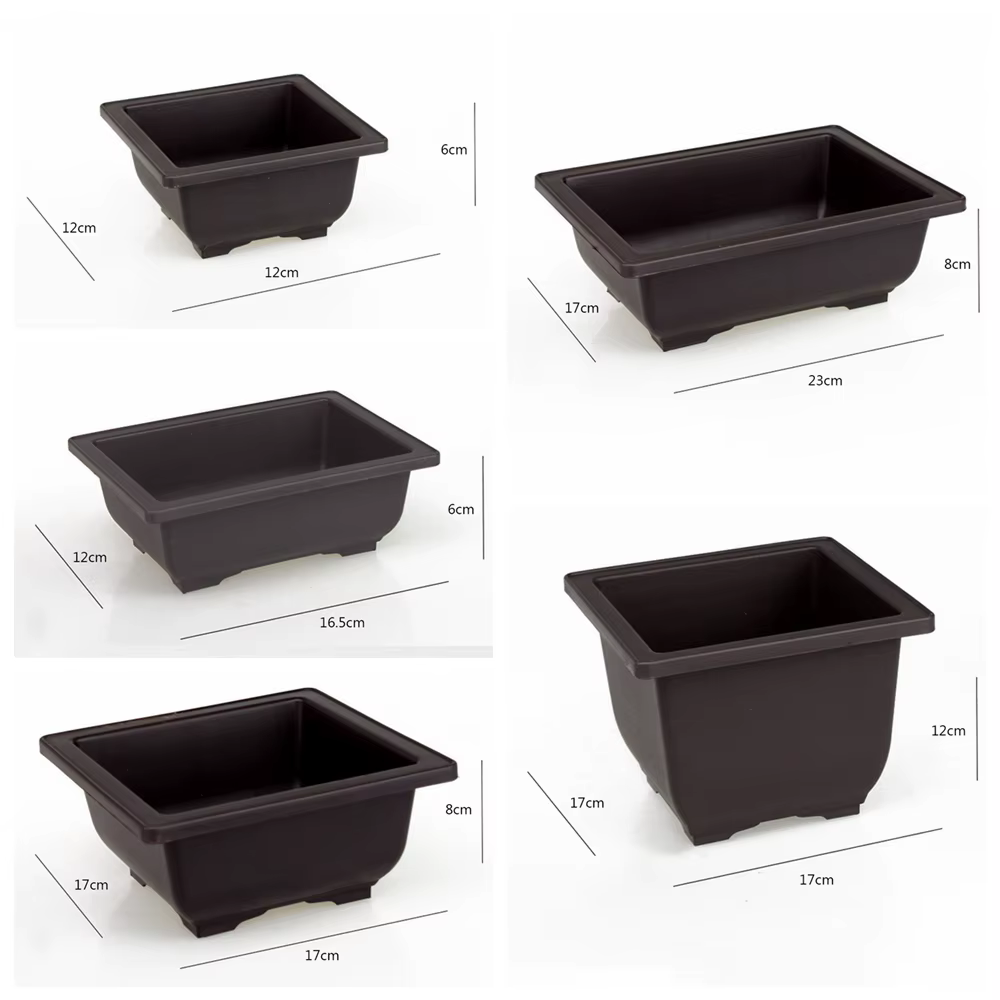 Pot de fleur en plastique pour plantes succulentes