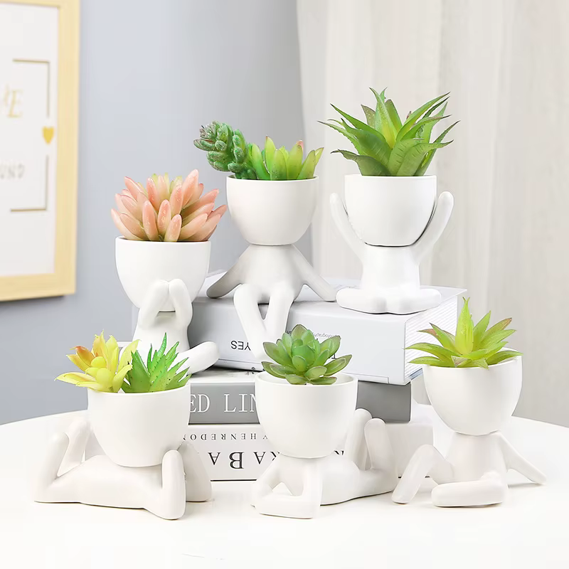 Pot de fleurs succulentes nordique