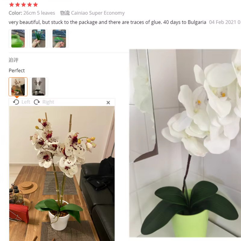 Plantes artificielles au toucher réel