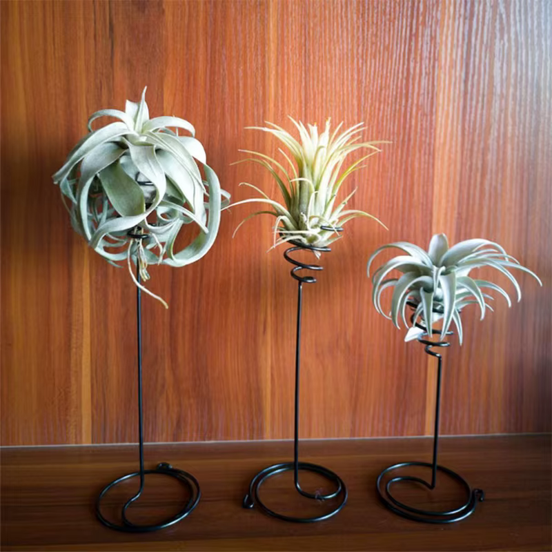 Support de plantes à Air 3 tailles