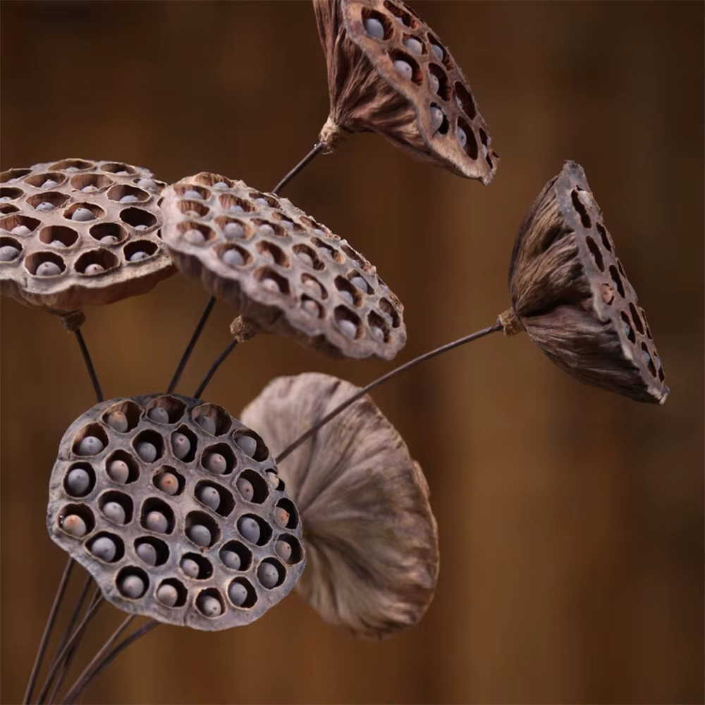 Fleurs de Lotus naturelles artificielles