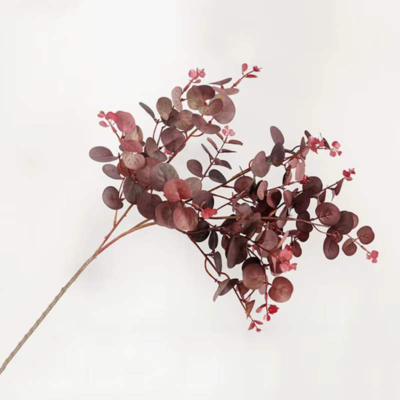 Feuille d'eucalyptus de style d'automne