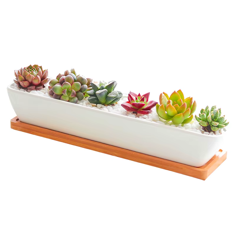 Pot de jardinière succulente en céramique blanche rectangulaire longue avec plateau en bambou