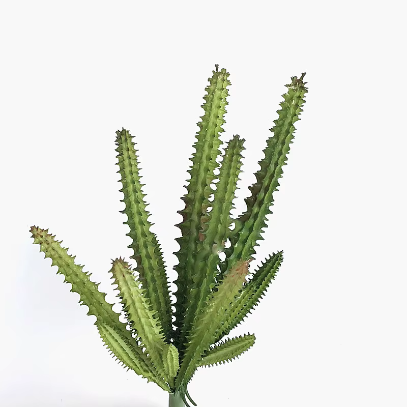 Plante artificielle en plastique