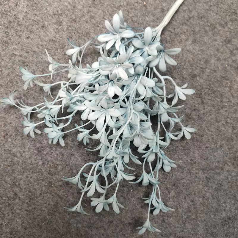 Simulation de fleur, petit rêve