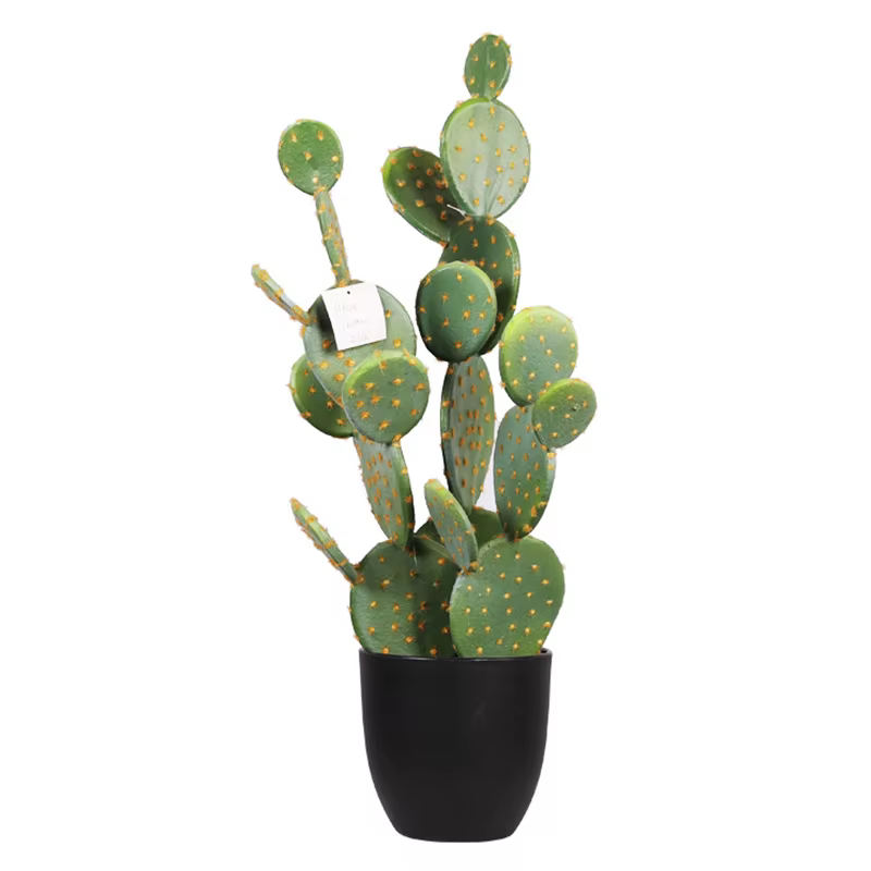 Cactus Plante Succulente Artificielle