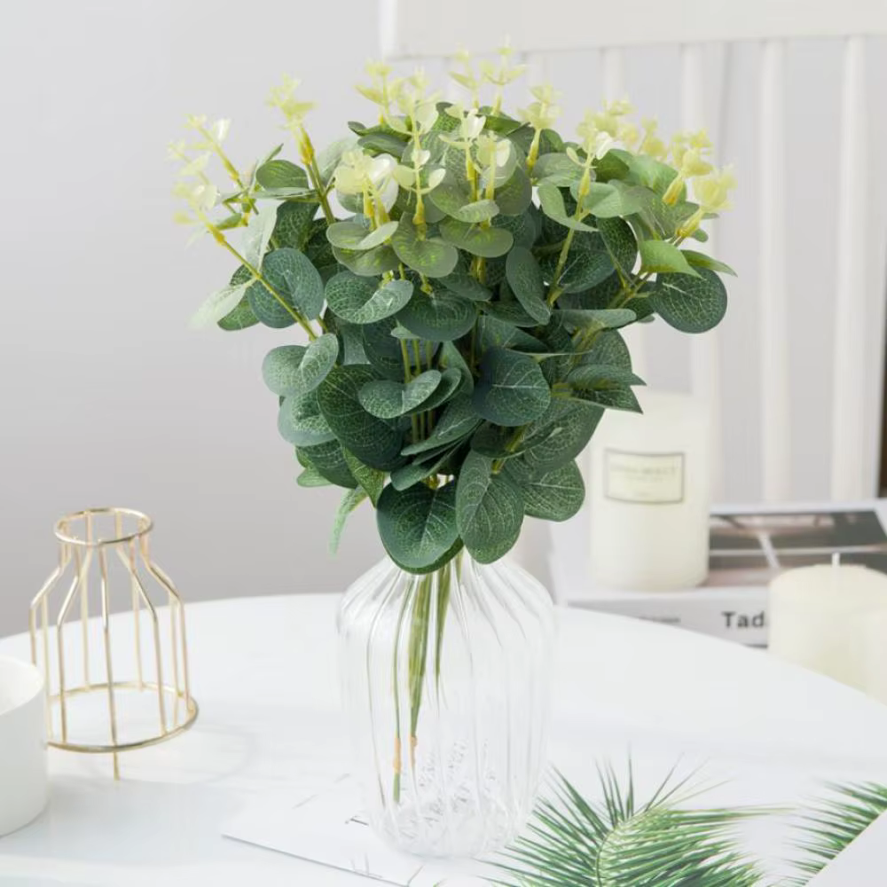 Feuilles d'eucalyptus bon marché