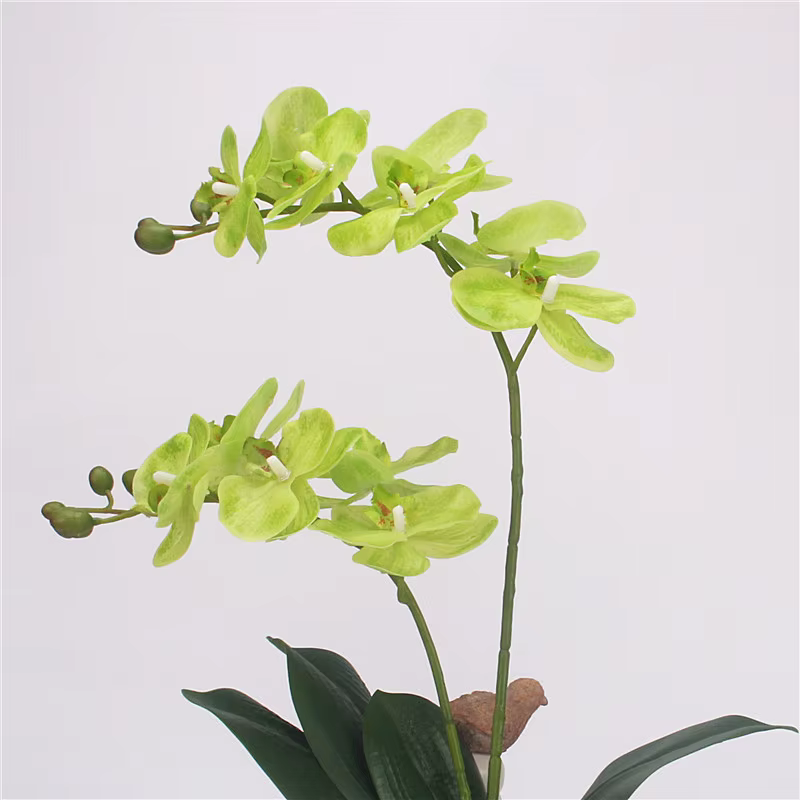 Fleur artificielle Phalaenopsis à 2 branches de 60 cm
