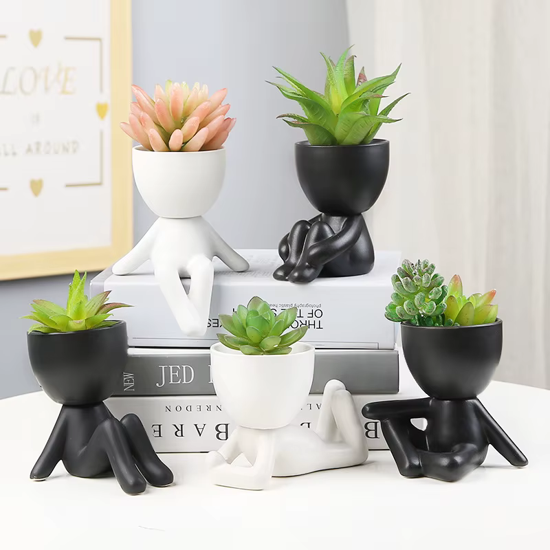 Pot de fleurs succulentes nordique
