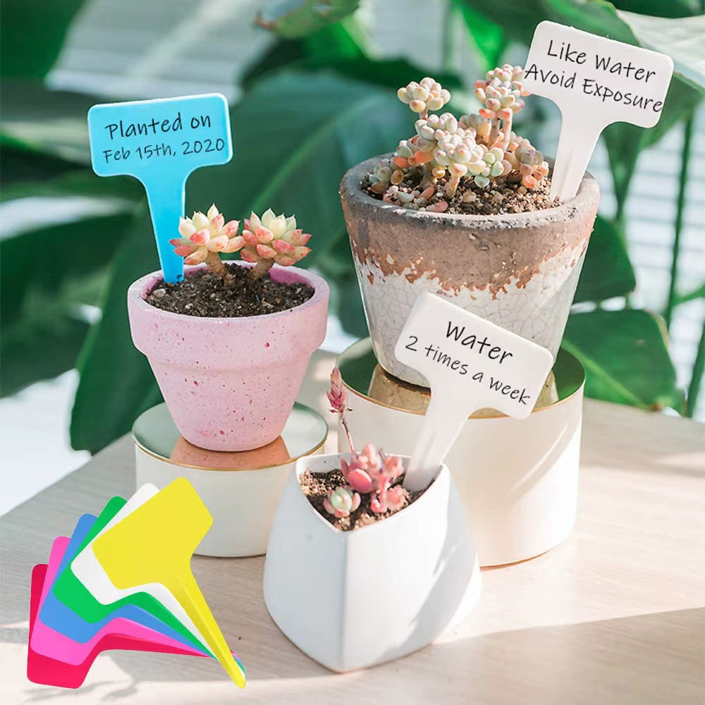 Étiquettes de plantes en plastique