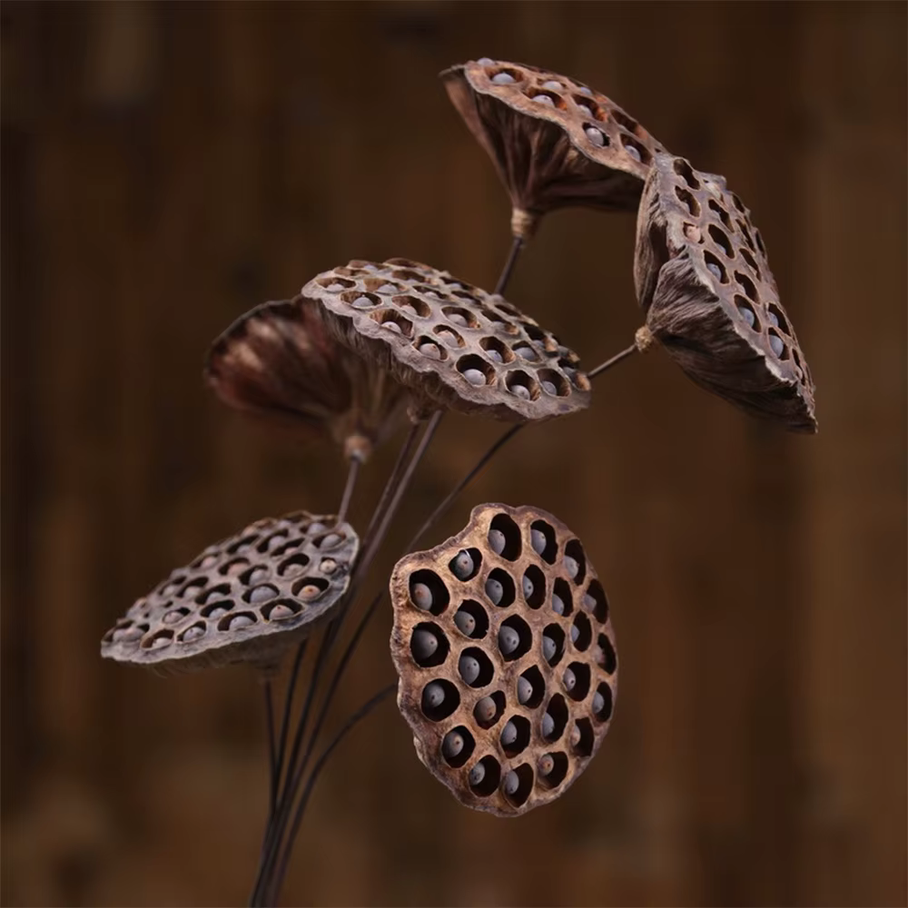 Fleurs de Lotus naturelles artificielles