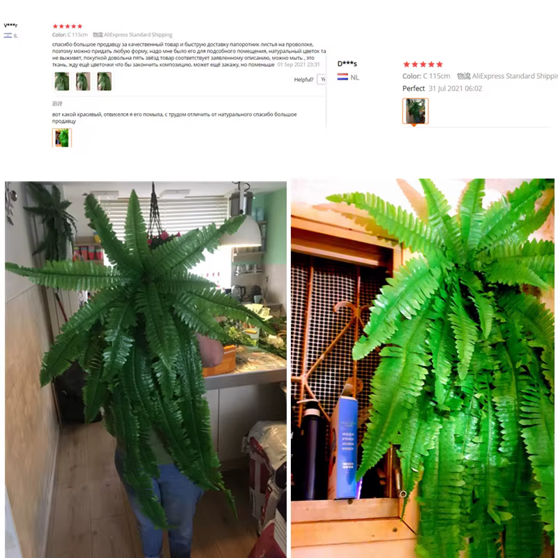 Grandes feuilles de fougère persane vertes