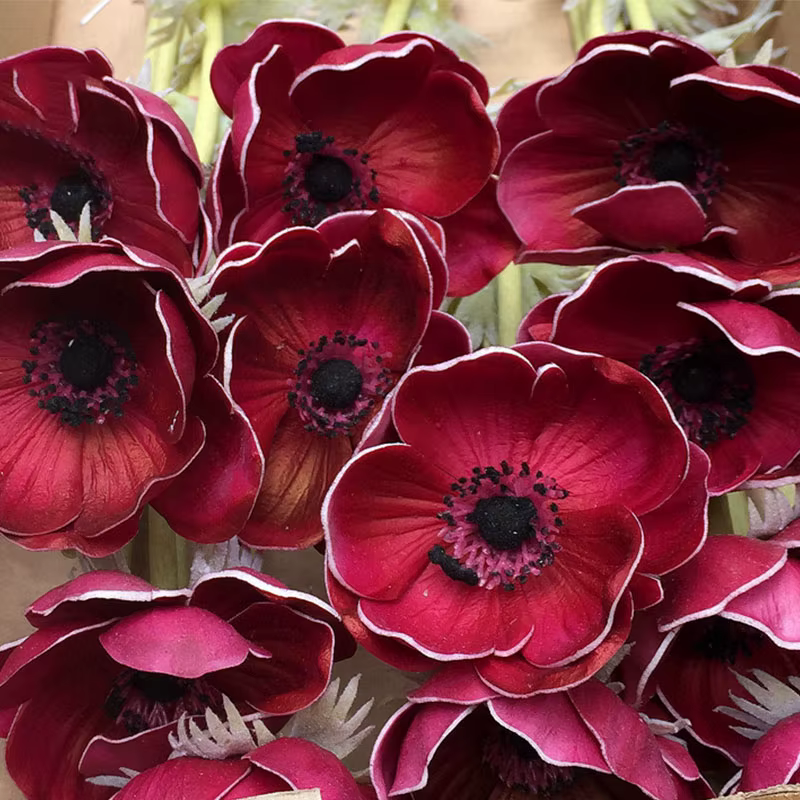 Anémone Rose PU Real Touch pour la décoration de mariage