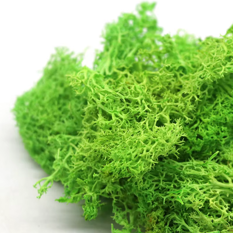 Plante Verte Artificielle