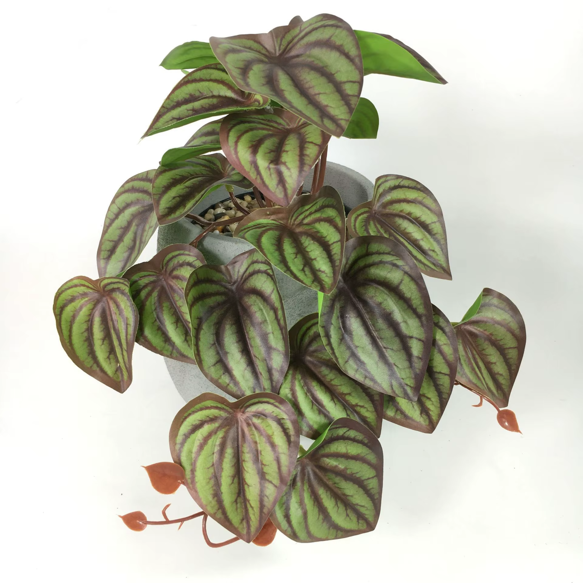 Plantes artificielles : Vigne
