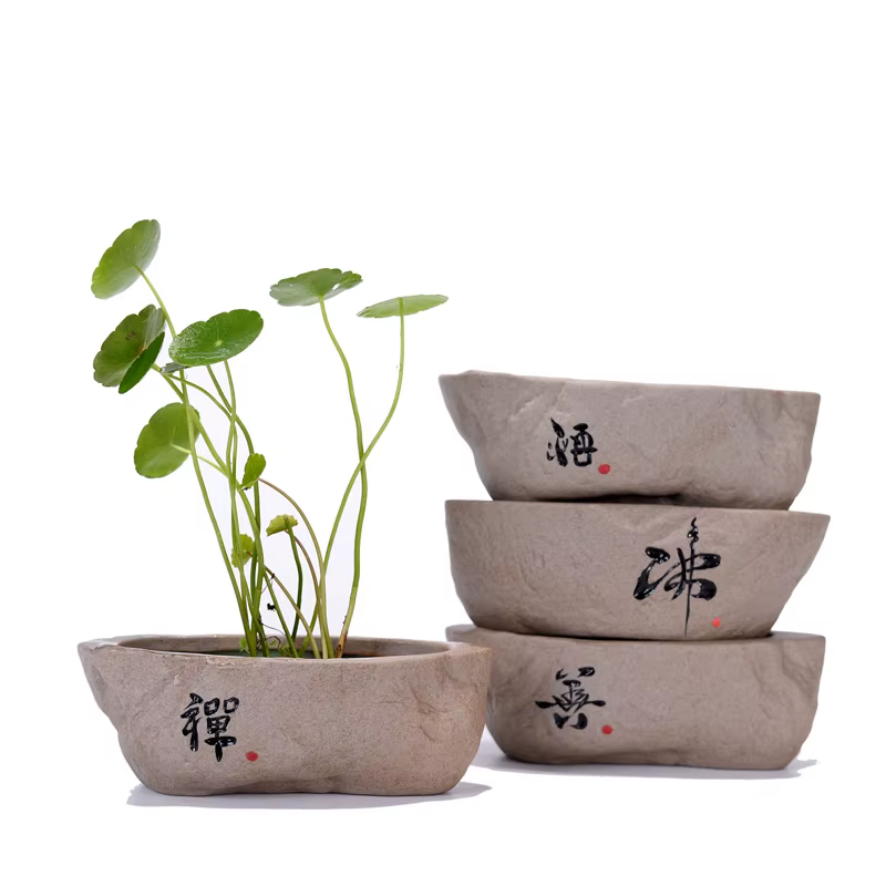 Pot de fleurs pour plantes hydroponiques Non poreuses