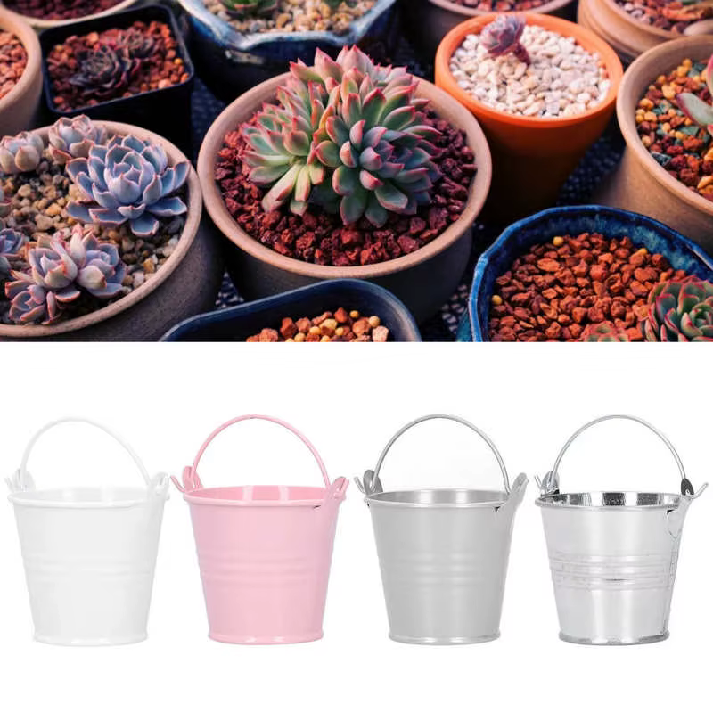 Mini pot de fleur en fer pour plantes succulentes