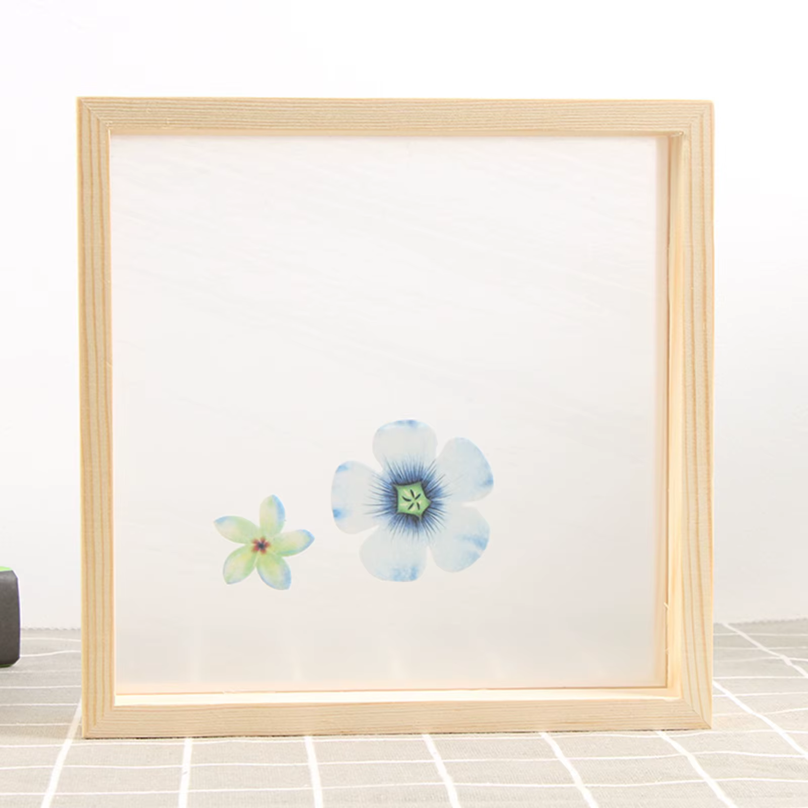Cadre Photo Double face pour plantes