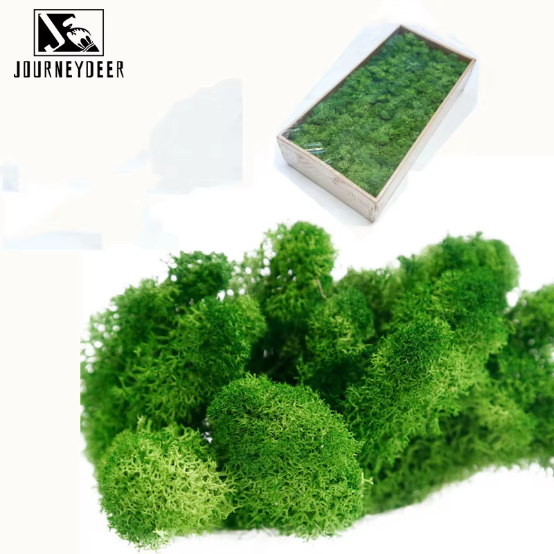Mousse naturelle verte plante artificielle 200g