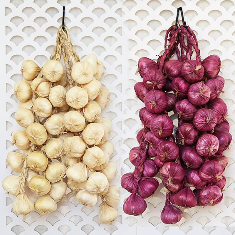 Simulation de ficelle d'ail et de légumes artificielle