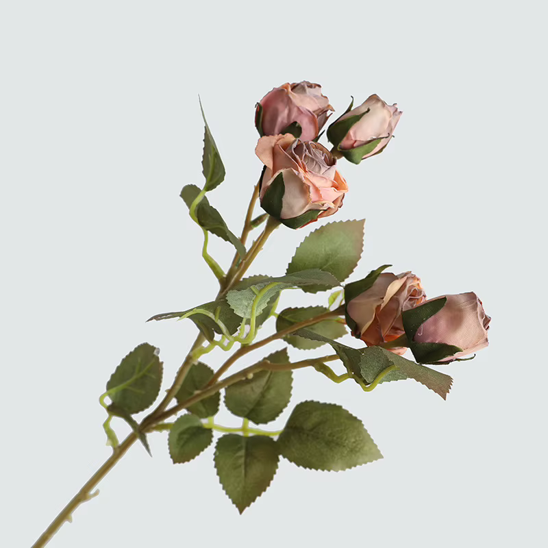 Fausses fleurs artificielles pour faire de vieux roses à bord de coke