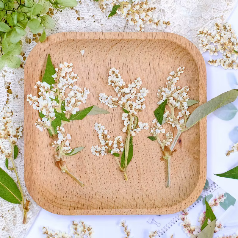 12 pièces, fleurs pressées séchées de sarrasin naturelles