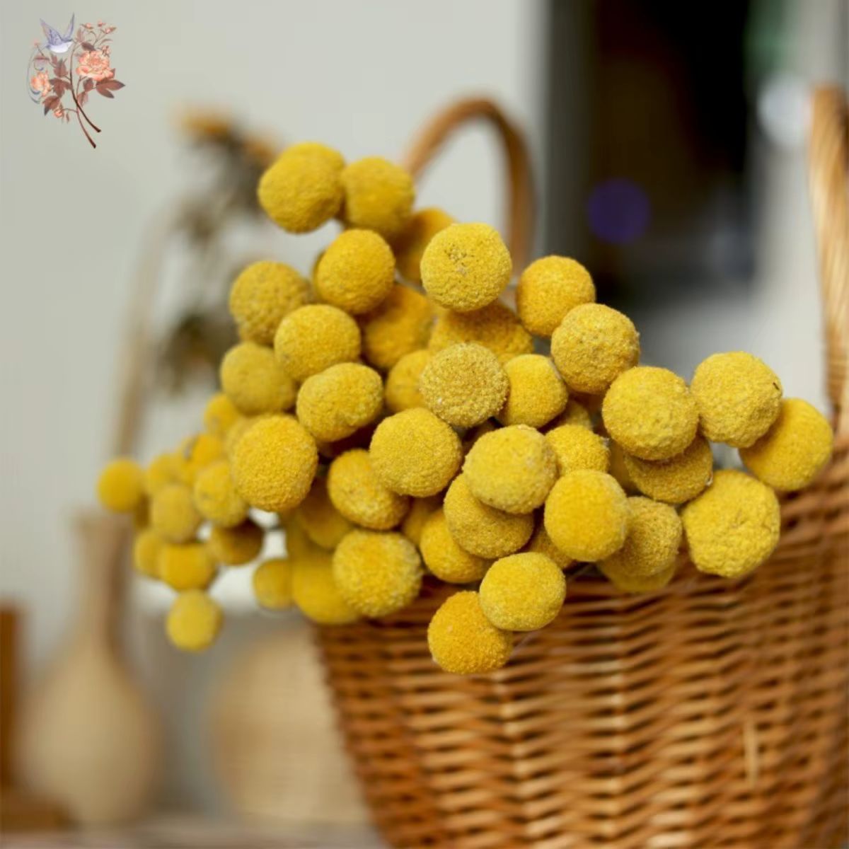 Boules dorées jaunes séchées naturelles
