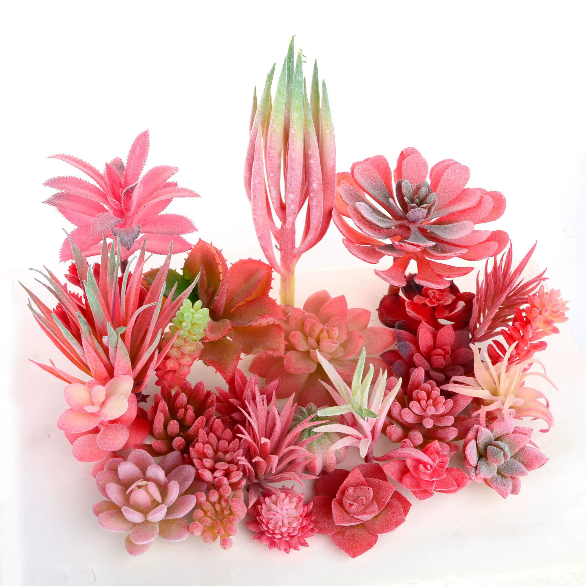 Plantes succulentes artificielles floquées rouge rose