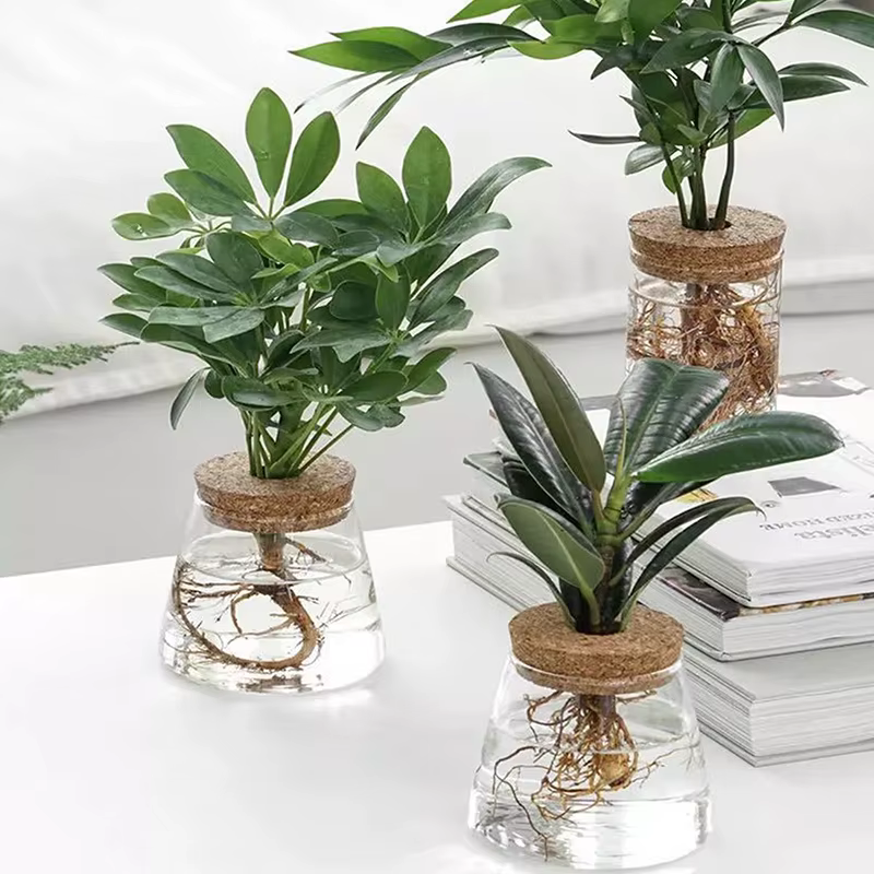 Pot de fleurs hydroponique transparent imitation verre