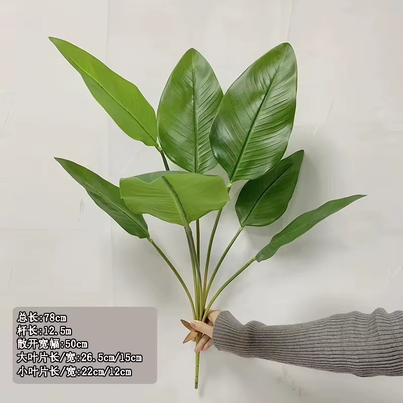 7 feuilles de plantein vert à main