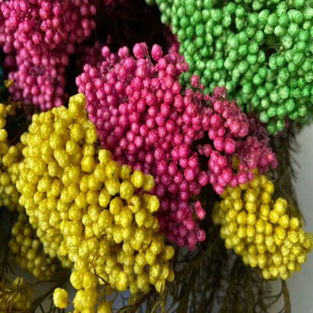 Bouquet de Fleurs Naturelles vaccées
