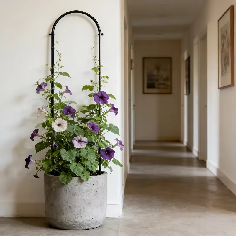 Lot de 2 treillis en métal en forme de U pour plantes grimpantes